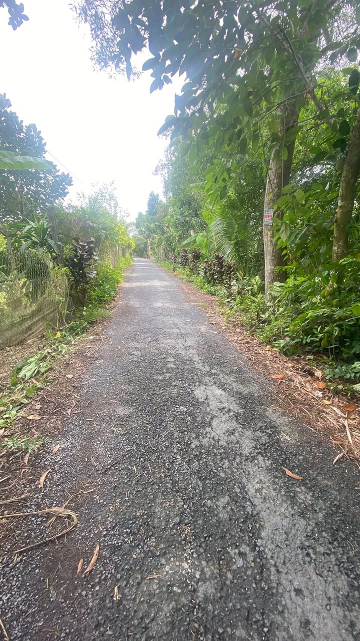 Đất nền Thanh Hoà, Cai Lậy 400m² giá 1.5 tỷ - Đường nhựa 4m, thuận tiện giao thông!