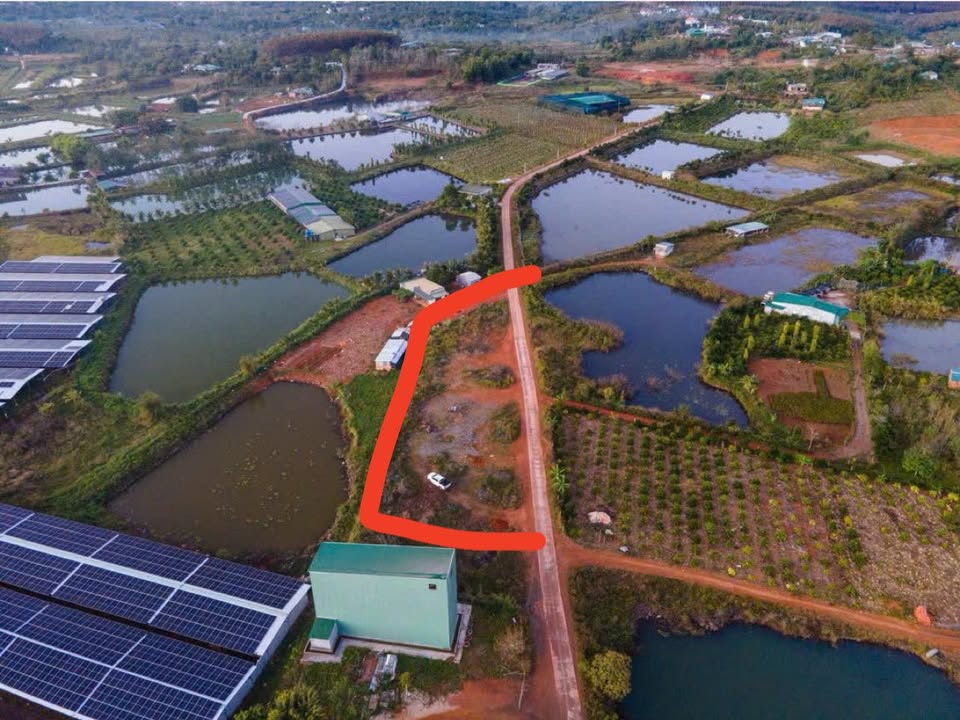 Đất nền thổ cư Đắk Wer 1000m² giá chỉ 19 triệu - Cơ hội đầu tư tuyệt vời!