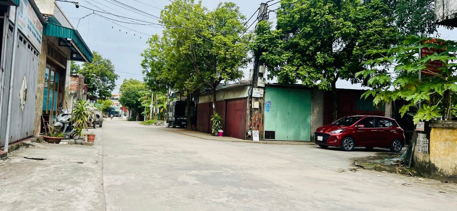 Đất nền Nam Thanh, Tiền Hải, Thái Bình 128m² giá chỉ 800 triệu - Cơ hội đầu tư sinh lời!