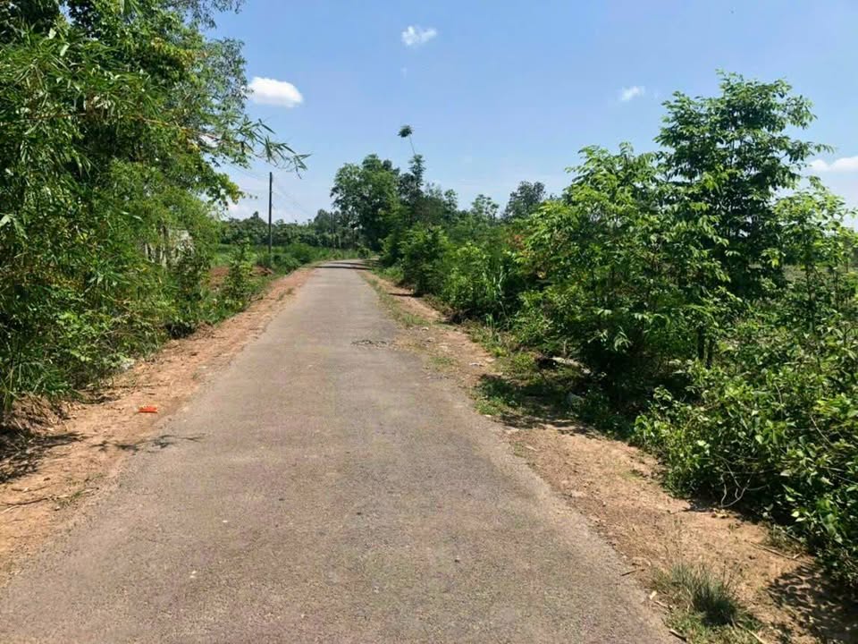 Bán đất Suối Cao - Xuân Lộc 27.623m² giá chỉ 11 tỷ - Cơ hội đầu tư hấp dẫn!