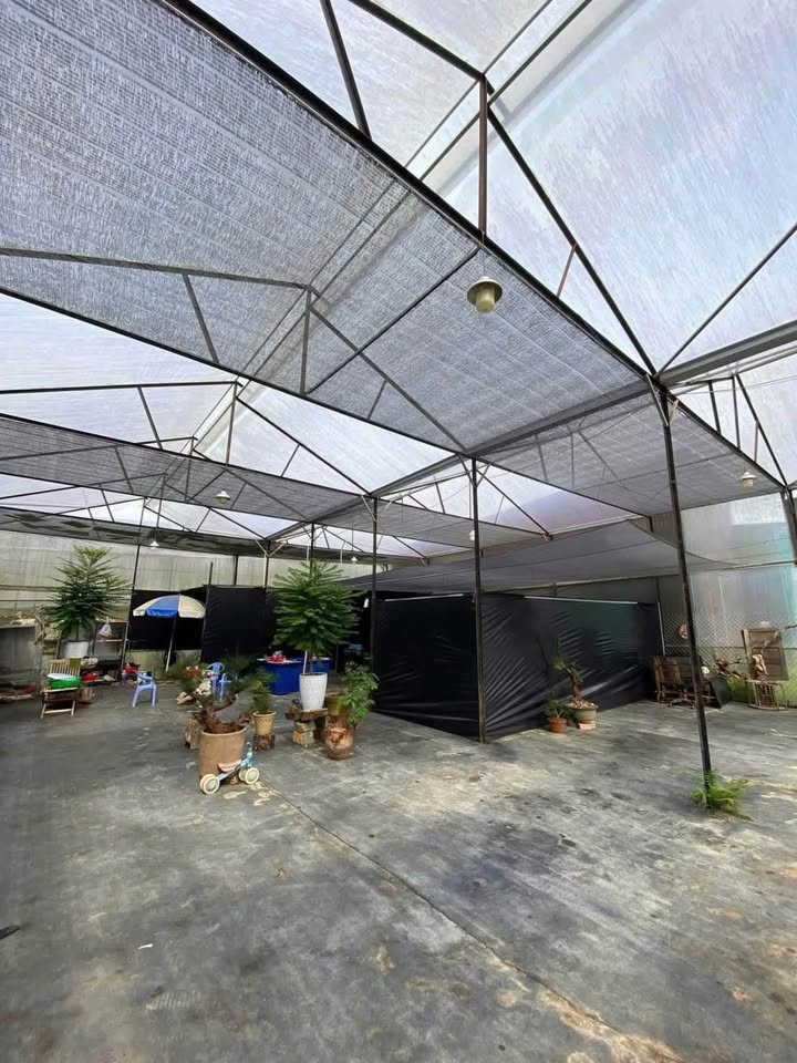 Đất nền đường Mai Anh Đào, Đà Lạt 470m² giá 8.25 tỷ - Hưởng thụ không gian sống lý tưởng!