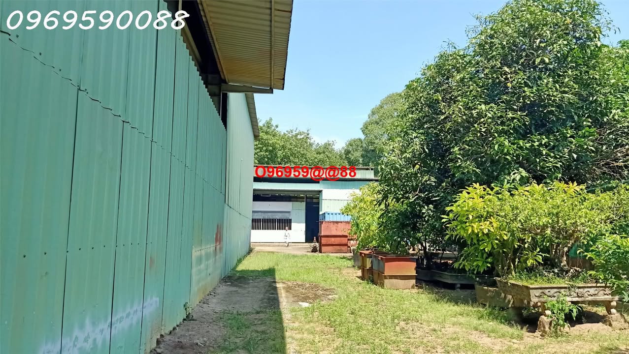 Cho thuê nhà xưởng 500m² mặt tiền Nguyễn Thị Nê - Giá 25 triệu/tháng, sẵn sàng hoạt động!