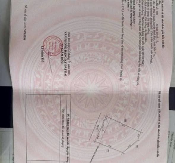 Đất mặt tiền Phú Thuận 910m² giá 1 tỷ - Tặng nhà cấp 4 chính chủ!