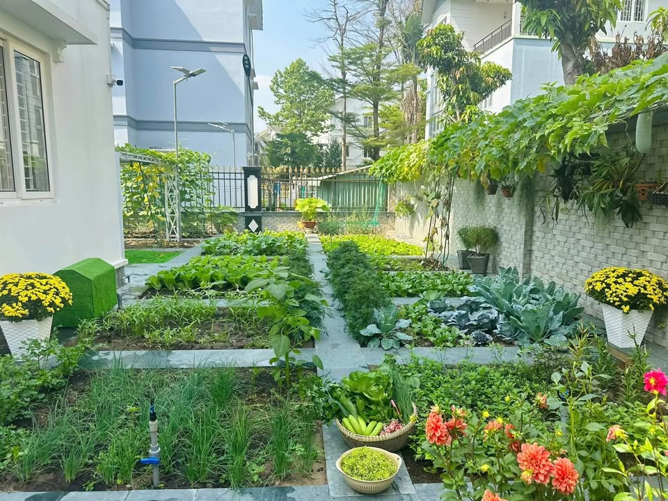 Đất nền Cam Phúc Bắc 150m² giá thỏa thuận - Xây nhà và làm vườn lý tưởng!