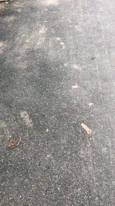 Đất nền Tân Tiến, Văn Giang, Hưng Yên 100m² giá chỉ 1.4 tỷ - Sổ đỏ chính chủ!