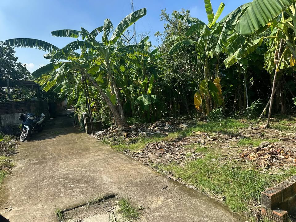 Đất nền Hoa Động, Thủy Nguyên 62m² giá 1.2 tỷ - Khu dân cư sầm uất