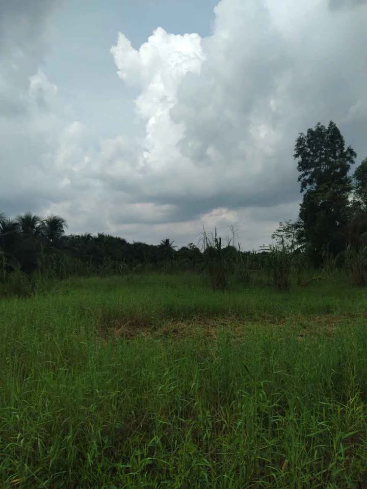 Đất nền An Phước, Châu Thành 1000m² giá chỉ 490 triệu - Cơ hội đầu tư tốt!