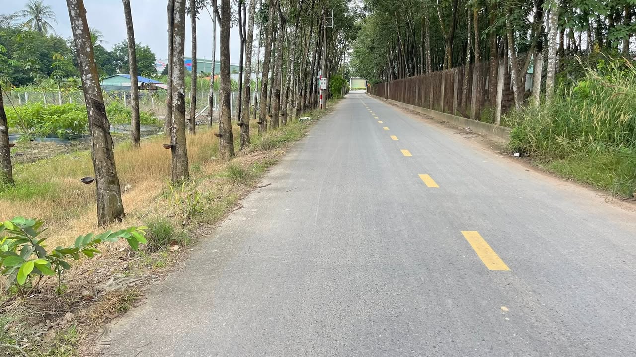 Đất thổ cư Hòa Lợi - Bến Cát 130m² giá 1 tỷ - Cơ hội đầu tư tuyệt vời!