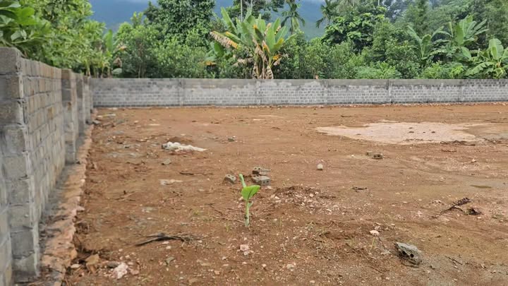 Đất nền Mường Động, Thanh Sơn 1130m² giá 1.1 tỷ - Tiềm năng sinh lời cao!