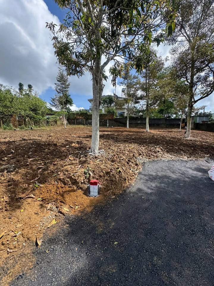 Đất nền Bảo Lộc 806m² giá 6.5 tỷ - Vị trí trung tâm, tiềm năng đầu tư!