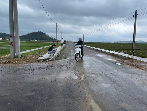 Đất dự án Nghi Công Bắc, Nghi Lộc 250m² - Đầu tư tiềm năng giá tốt!