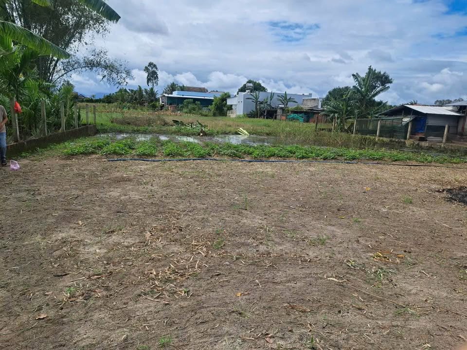 Đất nền tại Đức Minh, Mộ Đức 3600m² giá 400 triệu - Cơ hội đầu tư hấp dẫn!