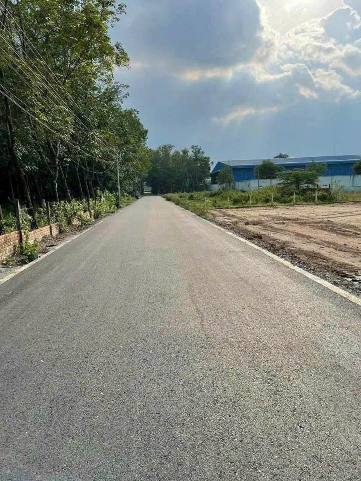 Đất nền DT 11.516m² mặt tiền Đường DT 741, Bến Cát - Cơ hội đầu tư sinh lời!