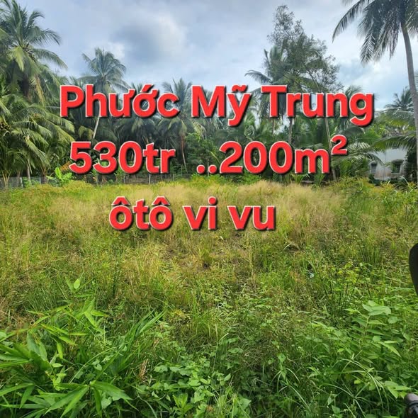 Đất nền Phước Mỹ Trung Mỏ Cày Bắc 200m² giá 530 triệu - Cơ hội đầu tư tuyệt vời!
