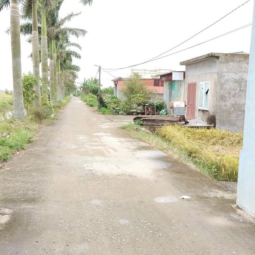 Đất nền Thuần Thành Thái Thụy 150m² giá chỉ 900 triệu - Sổ đỏ chính chủ