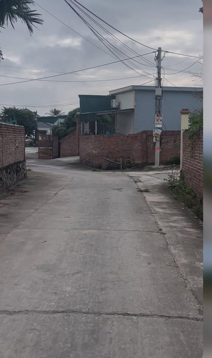 Đất nền An Sinh, Đông Triều, Quảng Ninh từ 104m² giá chỉ 500 triệu - Cơ hội đầu tư hấp dẫn!