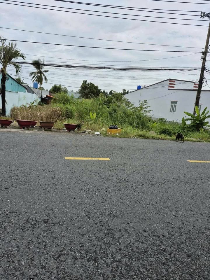 Đất nền ấp Phước Hòa, xã Thạnh Lộc, diện tích 2017m² giá chỉ 4.5 tỷ - Đầu tư kinh doanh sinh lời!