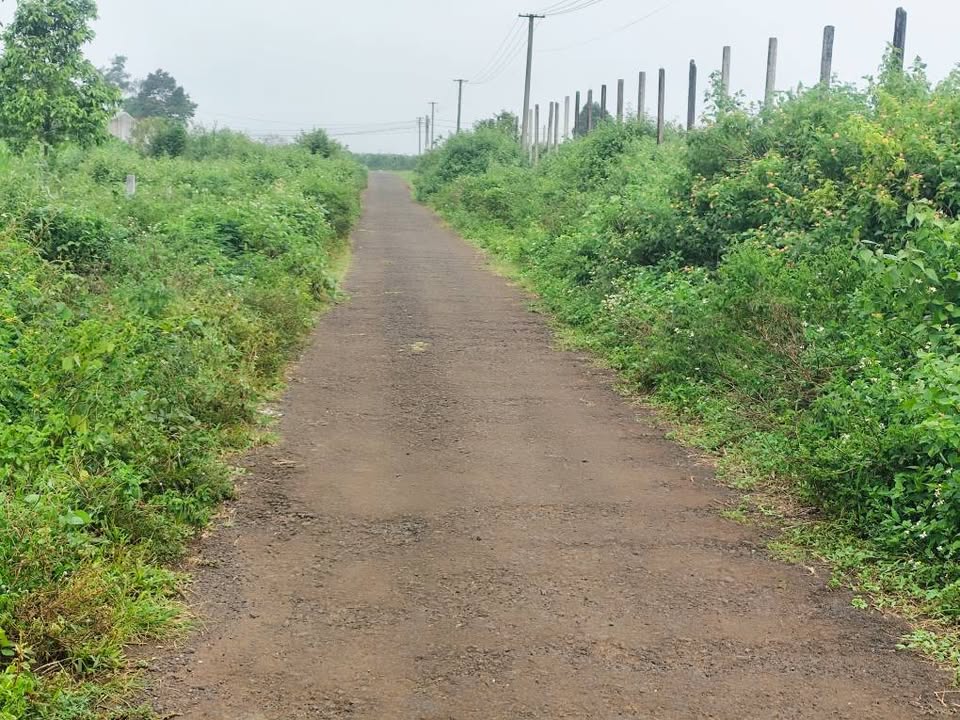 Đất nền góc 2 mặt đường Nguyễn Kiệm, Pleiku 300m² - Giá chỉ 850 triệu!