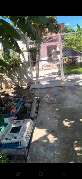 Đất nền Quang Hưng An Lão 64m² giá chỉ 400 triệu - Cơ hội đầu tư tuyệt vời!