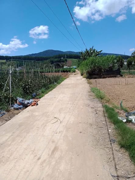 Đất vườn Lạc Xuân Đơn Dương 1,7 sào giá 1,2 tỷ - Cơ hội đầu tư tuyệt vời!