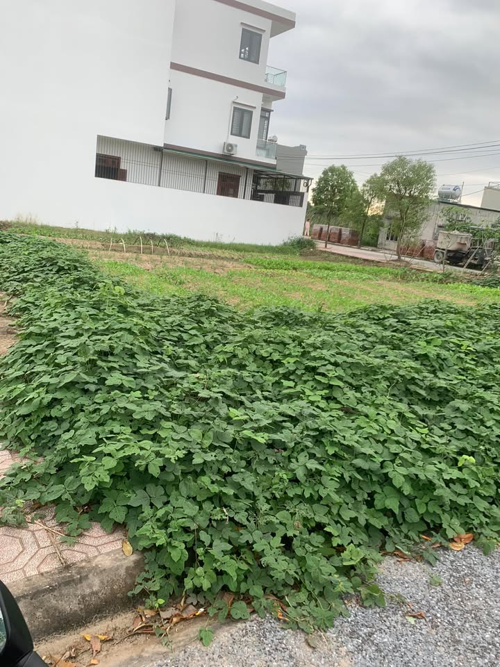 Đất nền Vũ An Kiến Xương 96m² - Hướng Tây, vị trí thuận lợi!