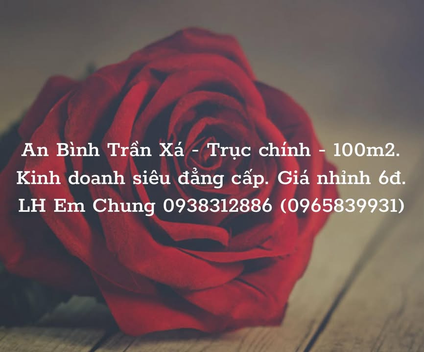 Đất nền An Bình Trần Xá - Yên Phong 100m² giá 6 tỷ - Kinh doanh siêu đẳng cấp!