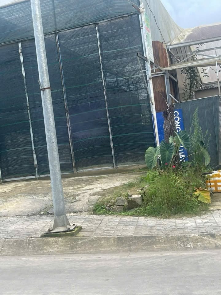 Cho thuê kho 125m² mặt tiền đường Võ Trường Toản, Đà Lạt - Giá chỉ 6 triệu/tháng!