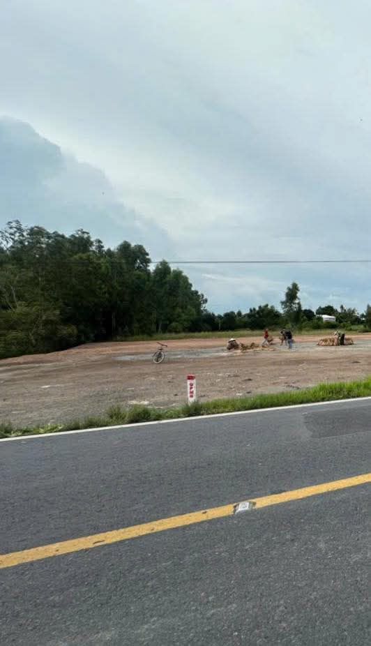 Đất nền Quốc Lộ 30, xã Tân Hộ Cơ 1740m² - Giá chỉ 95 triệu/m ngang!