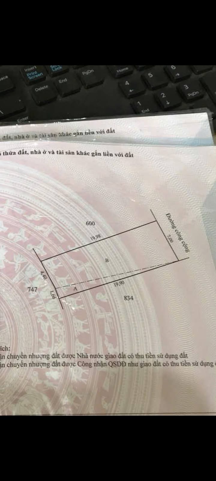 Đất nền mặt tiền đường Đan Xe, Sa Đéc 139m² giá 520 triệu - Cơ hội đầu tư hấp dẫn!