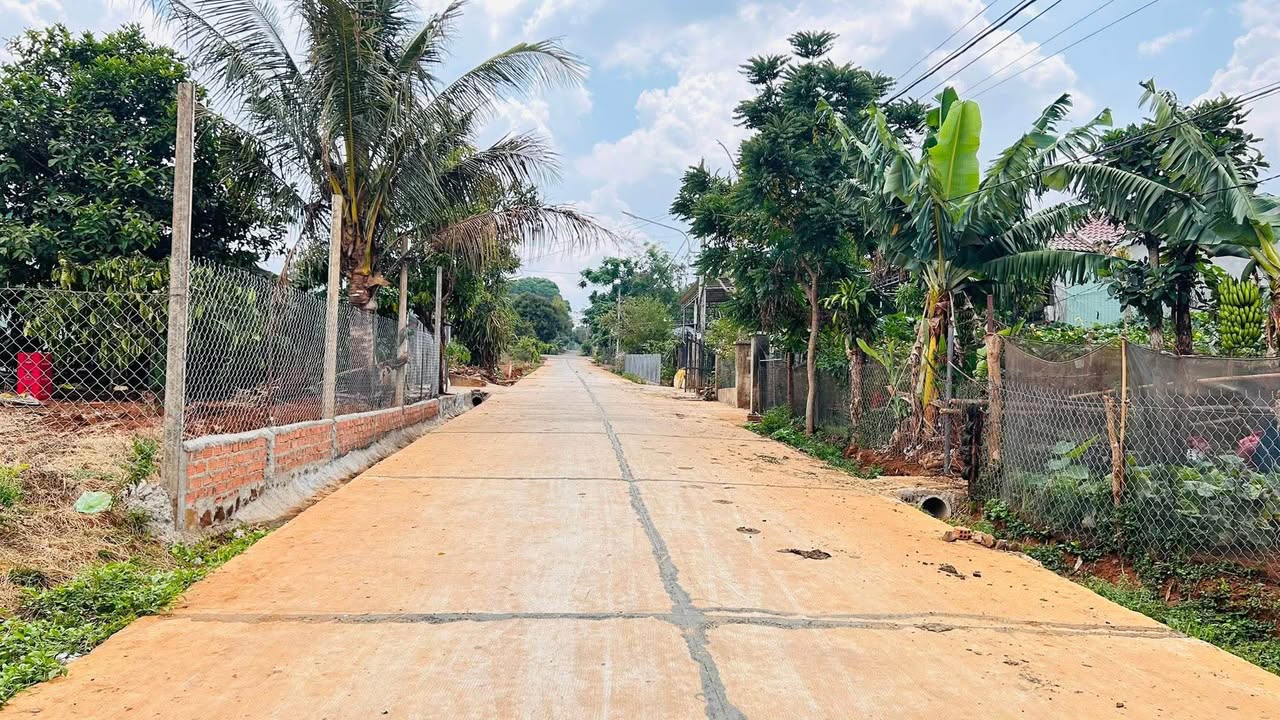 Đất nền Bùi Dự - Pleiku - 208m² giá 1 tỷ - Hướng Đông, vị trí đắc địa!