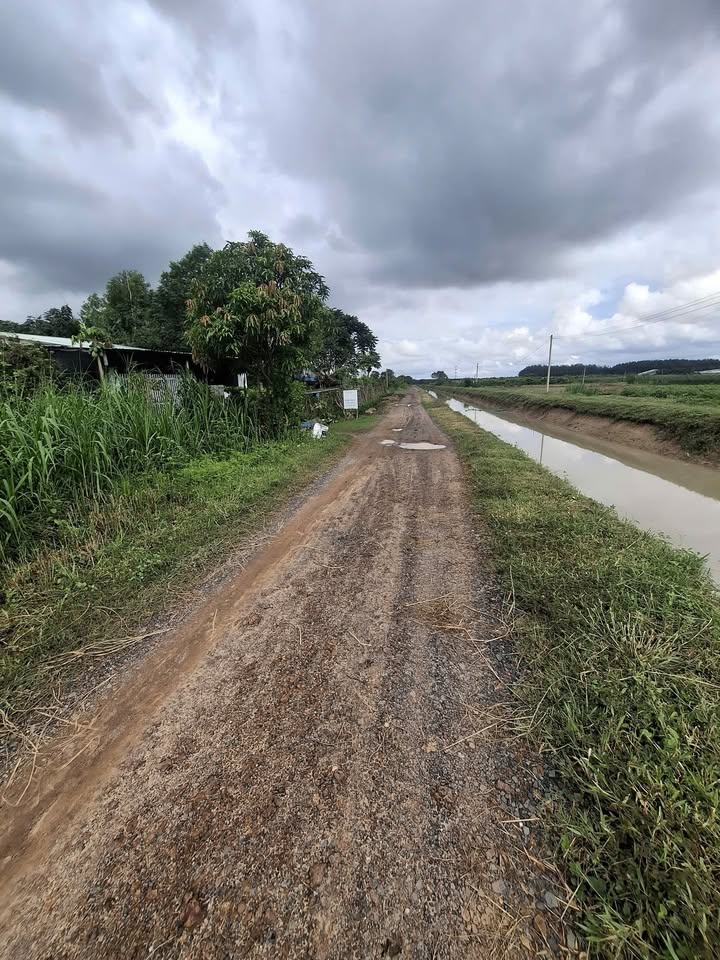 Đất nền Gia Lộc, Trảng Bàng 988m² giá chỉ 680 triệu - Tiềm năng đầu tư lớn!