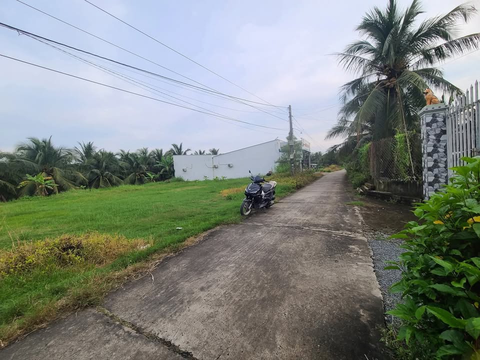 Đất nền 2 lô liền kề tại Ấp Bình Trung, Gò Công Tây, 232m² - Giá chỉ 530 triệu, thương lượng nhẹ!