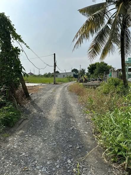 Đất lúa 1200m² đường 827B, xã Bình Quới - Giá chỉ 870 triệu