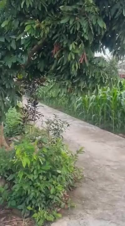 Đất thổ cư Nghĩa Phú 175m² giá 1 tỷ - Sổ đỏ chính chủ, giao dịch ngay!