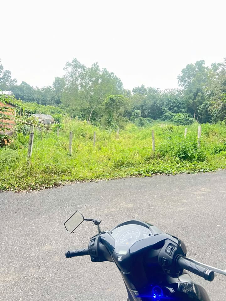 Đất nền An Tây, Bến Cát 455m² giá 1.6 tỷ - Vị trí đắc địa gần trường học