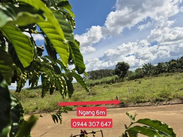 Đất thổ cư Dương Minh Châu 225m² giá 920 triệu - Đường thông thoáng, tiện ích đầy đủ!