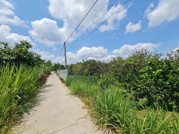 Đất nền 1165m² tại ấp Mỹ Lương, xã Mỹ Phong, giá 2.9 tỷ - Tiềm năng phát triển lớn!