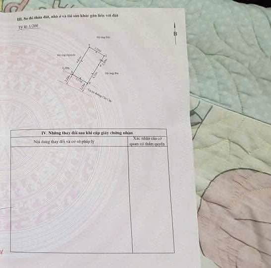 Nhà mặt đường 3 tầng phố Cầu Cáp, Hải Phòng 25m² giá 2.98 tỷ - Kinh doanh thuận lợi!