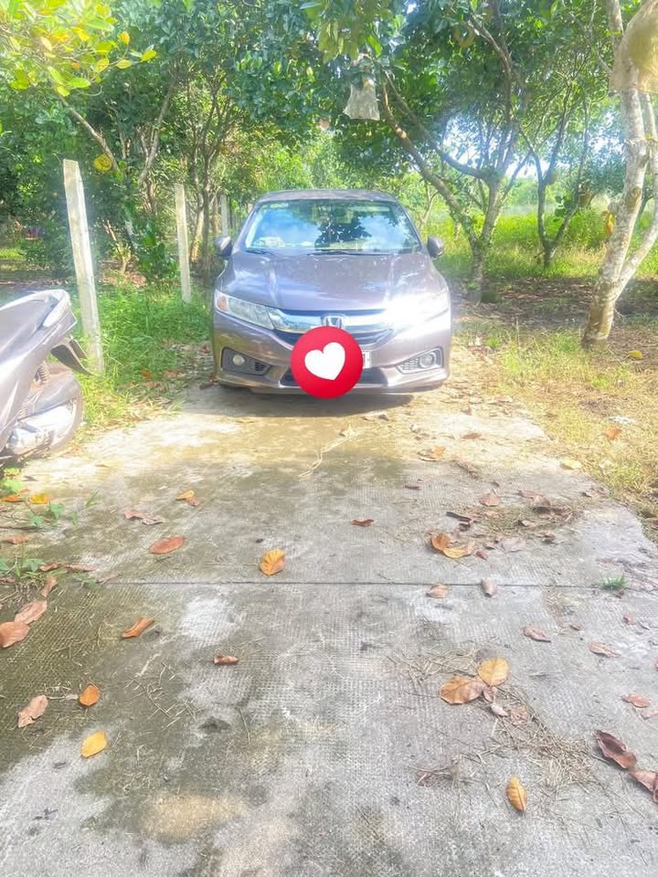 Đất thổ cư 1000m² tại Bình Lộc, Long Khánh - Giá chỉ 1 tỷ, đầu tư sinh lời cao!