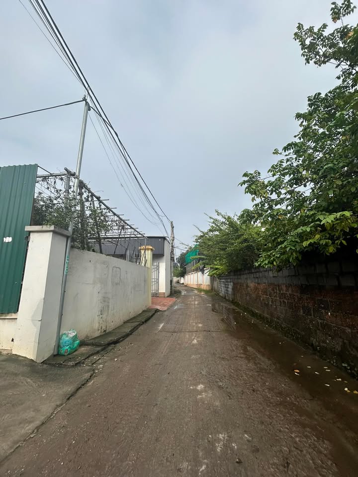 Nhà riêng Đại Áng, Thanh Trì 82m² giá 6 tỷ - Pháp lý chuẩn, giao dịch ngay!