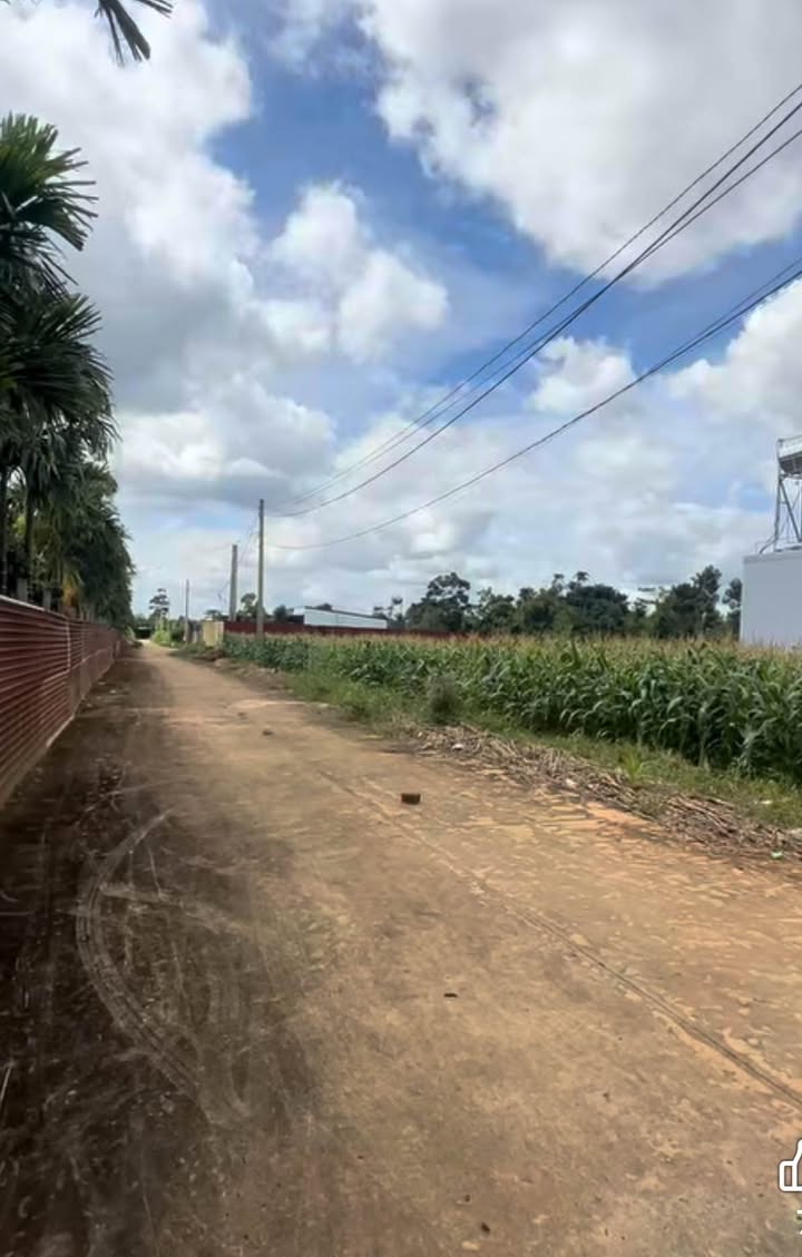 Đất nền phường Tân An 250m² giá 1.85 tỷ - Nơi an cư lý tưởng!