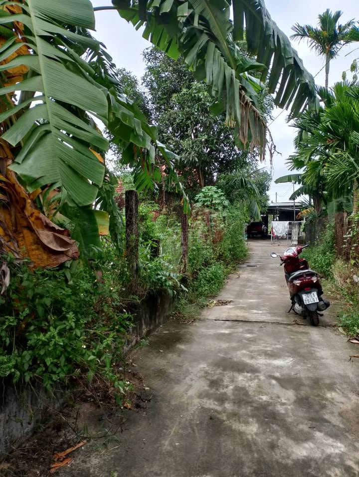 Đất ở Tịnh Ấn Tây 127.8m² giá chỉ 590 triệu - Cơ hội đầu tư tuyệt vời!