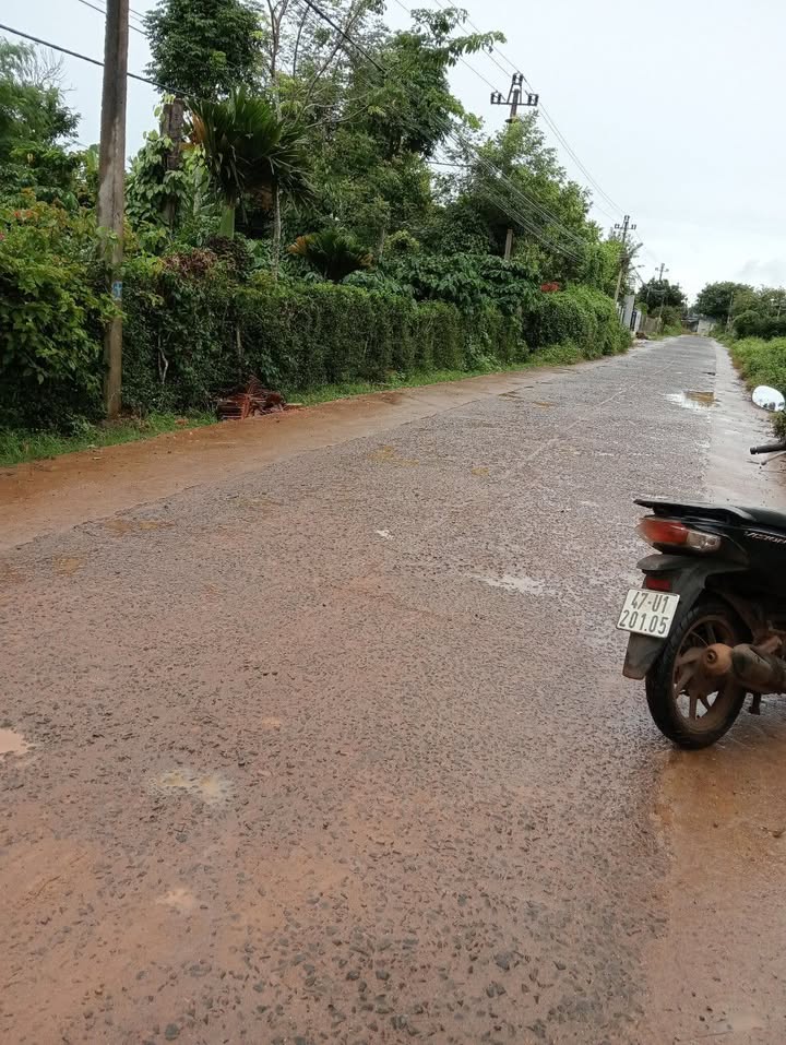 Đất nền Pơng Drang Krông Búk 300m² giá 1.4 tỷ - Vị trí đẹp, giao thông thuận lợi!