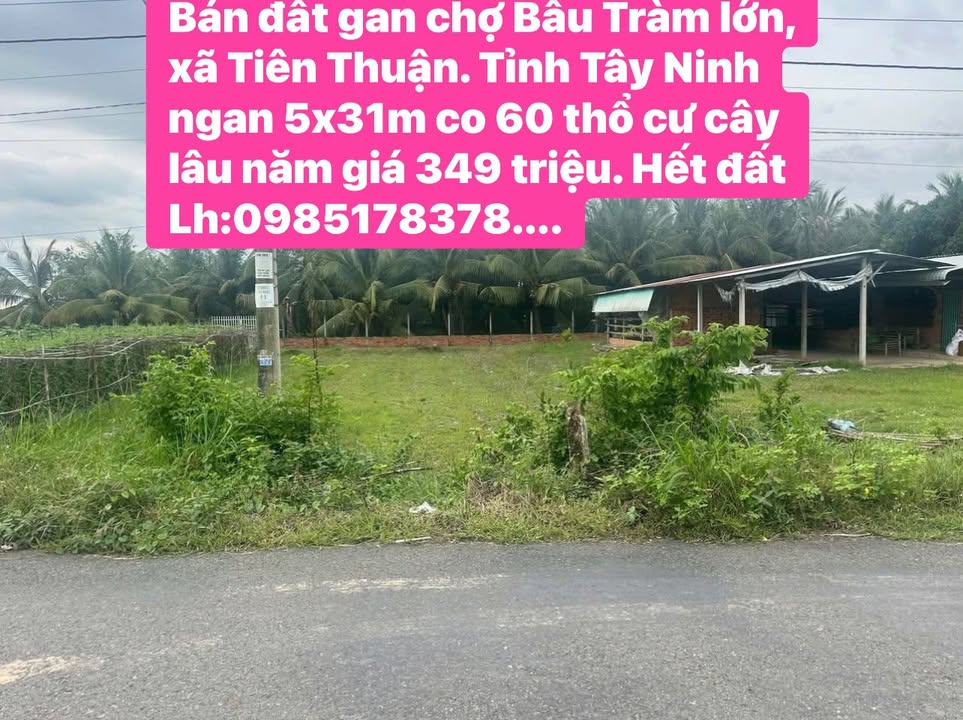 Đất nền xã Tiên Thuận, Bến Cầu, Tây Ninh 155m² giá 349 triệu - Đầu tư sinh lời ngay!