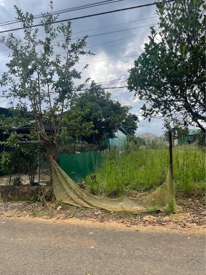 Đất mặt tiền liên thôn Đạ Sar, Lạc Dương - 450m² chỉ 3.5 tỷ - Cơ hội đầu tư tuyệt vời!