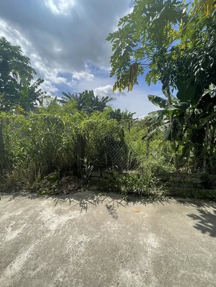 Lô đất thổ cư Diên Khánh 195m² giá 2.242 tỷ - Đường ô tô thông thoáng!