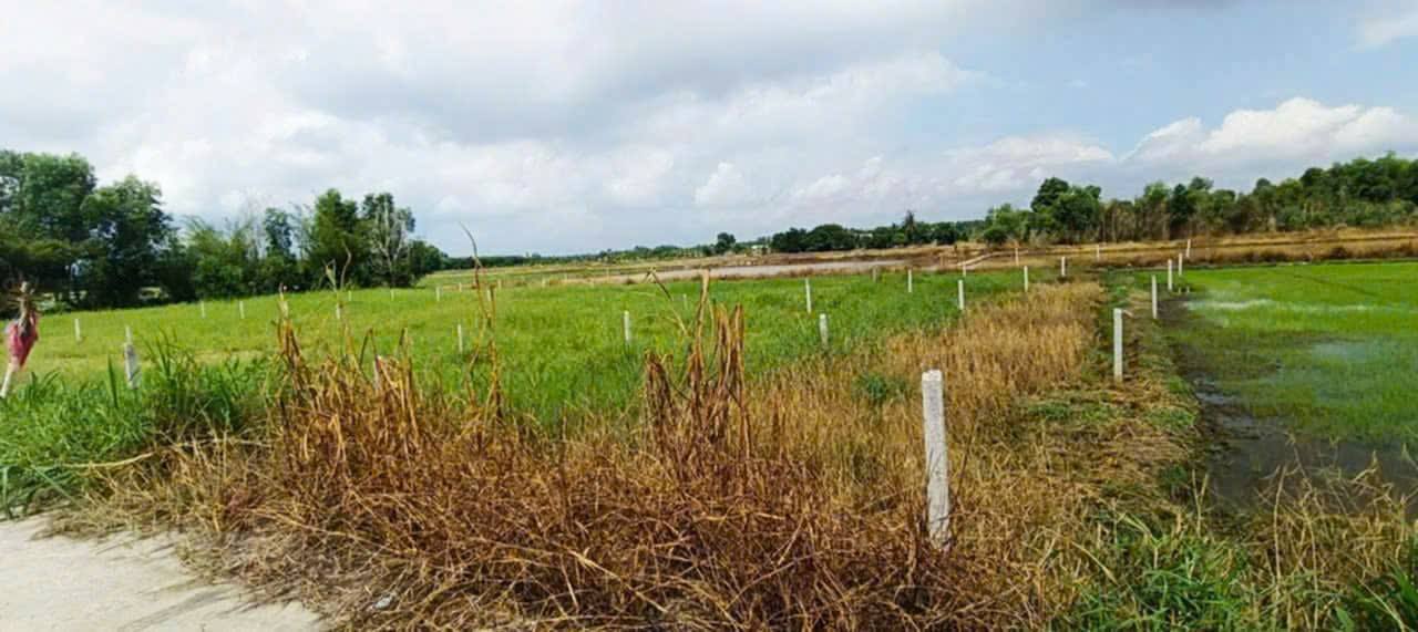 Đất nền 228m² tại xã Mỹ Thạnh Đông, Đức Huệ, Long An - Đầu tư sinh lời chỉ 790 triệu!