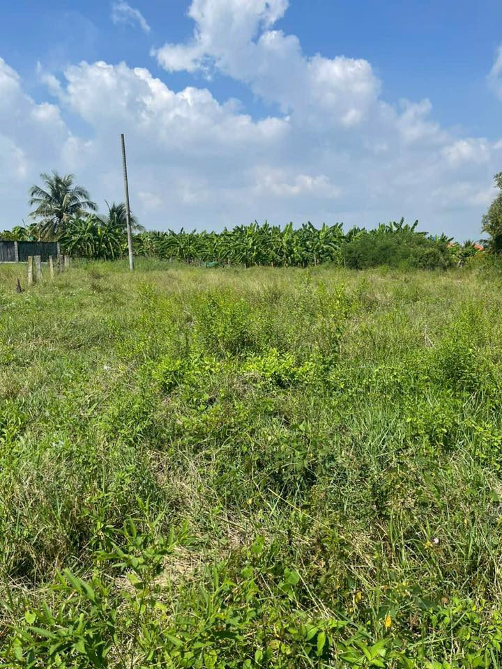 Đất nông nghiệp 1350m² tại Hàm Liêm giá chỉ 390 triệu - Cơ hội đầu tư hấp dẫn!