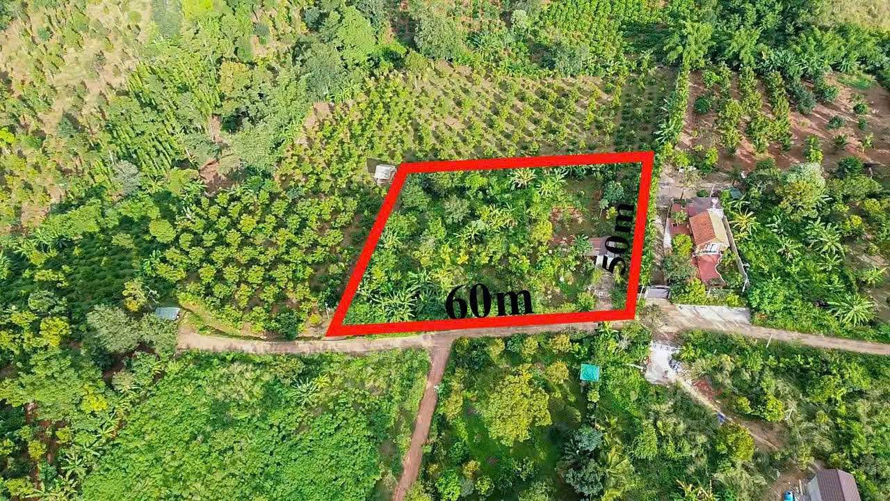 Đất nền 3000m² tại Hẻm 442 Y Moan, Buôn Ma Thuột - Giá 9 tỷ, cơ hội đầu tư lý tưởng!