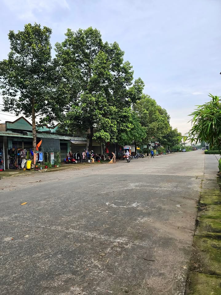 Dãy trọ Tân Hiệp, Phú Giáo 115m² giá 2 tỷ - Mặt tiền kinh doanh sầm uất!